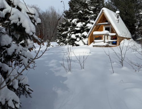 Anecdotes January 2026