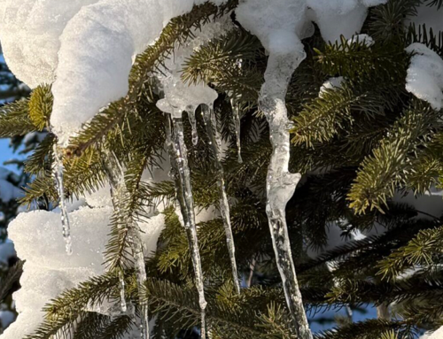 The Chill is About to Break February 2026