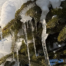 Icicles hanging from snowy green Pine branches