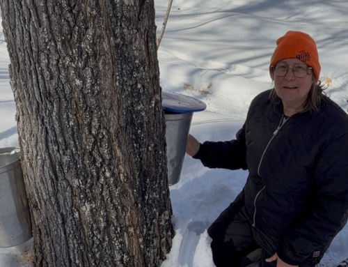 Syrup Season has Begun March 2026